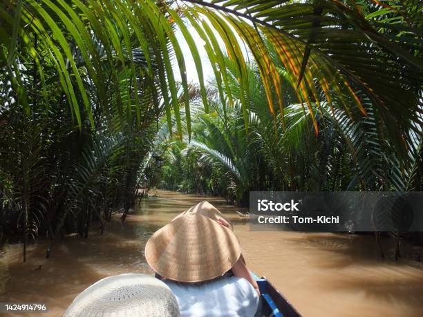 Mekong River Cruisevietnam Stock Photo - Download Image Now - Mekong River, Rainforest, Tourist Resort