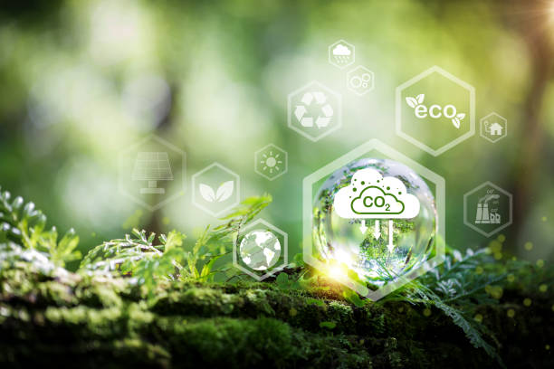 istock Developing sustainable CO2 concepts and Reduce CO2 emissions and carbon footprint to limit global warming and climate change. sustainable environmental management, Greenhouse from renewable energy 1424917476