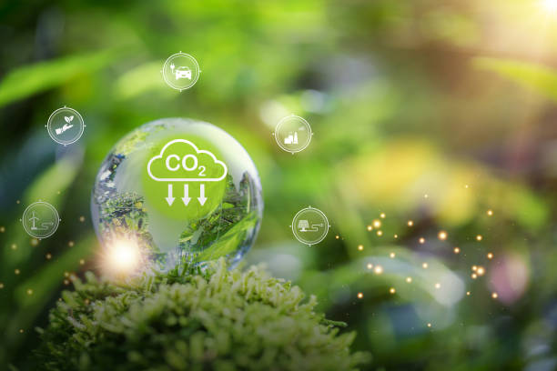 istock Developing sustainable CO2 concepts and Reduce CO2 emissions and carbon footprint to limit global warming and climate change. sustainable environmental management, Greenhouse from renewable energy 1424917583