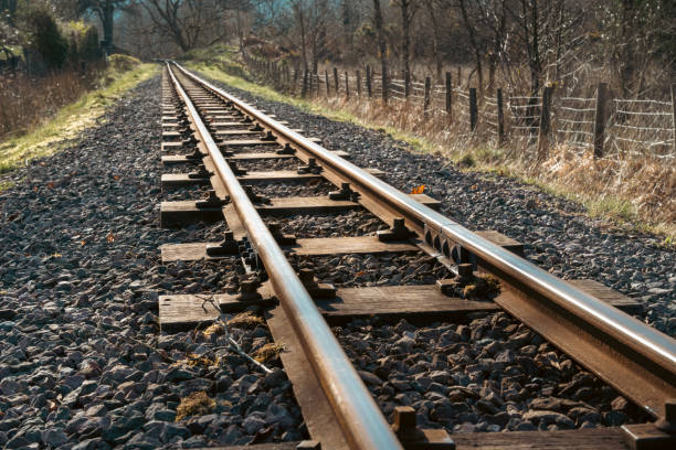 istock Railroad tracks in the countryside 1424918161