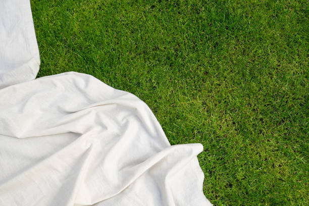 white picnic blanket on green grass background, top view top view of picnic blanket on ground, advertising concepts, copy space. linen tablecloth or white textile plaid on green lawn in garden outdoor at summer day, flat lay picnic blanket stock pictures, royalty-free photos & images