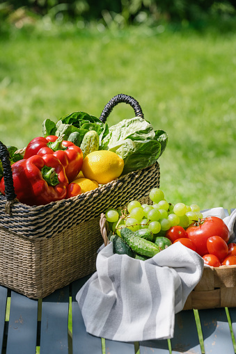 fruits and vegetables harvest. concept of local market with organic food, fresh and healthy products. ripe tomato, red pepper, juicy grape, lettuce and cucumber in wicker basket on table in garden