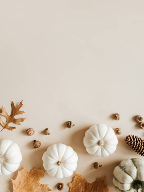 istock Fall composition with different leaves, pumpkins, acorns on beige background. 1424924022