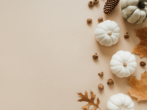 Fall composition with different leaves, pumpkins, acorns on beige background. Autumn, fall, halloween, thanksgiving day concept. Flat lay, top view, copy space