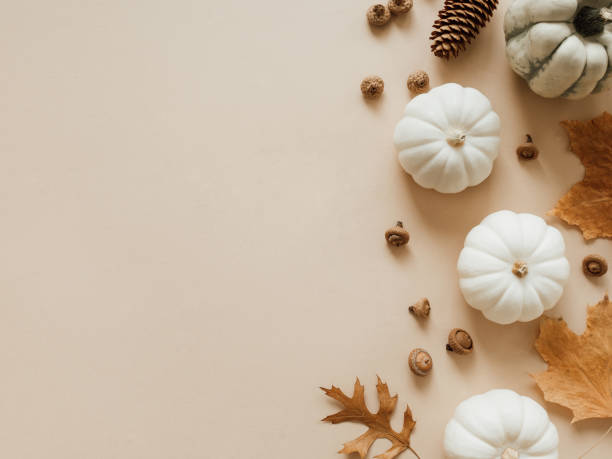 Fall composition with different leaves, pumpkins, acorns on beige background. stock photo