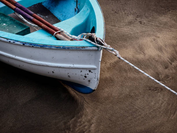 A white and blue rowing boat at low tide An old, white rowing boat sits on the sand at low tide. Wooden oars are ready for the next trip out to sea. The strong rope holds her safely as she waits. low tide stock pictures, royalty-free photos & images