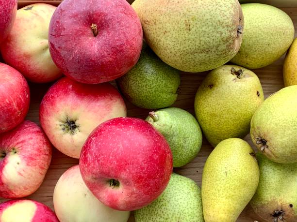 istock Background of red apples and green pears. 1424930042