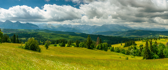 Mountains landscape with rolling hills, trees and meadows in tatras, Poland.