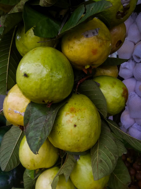 istock guavas hanging in the fruit shop 1424943736