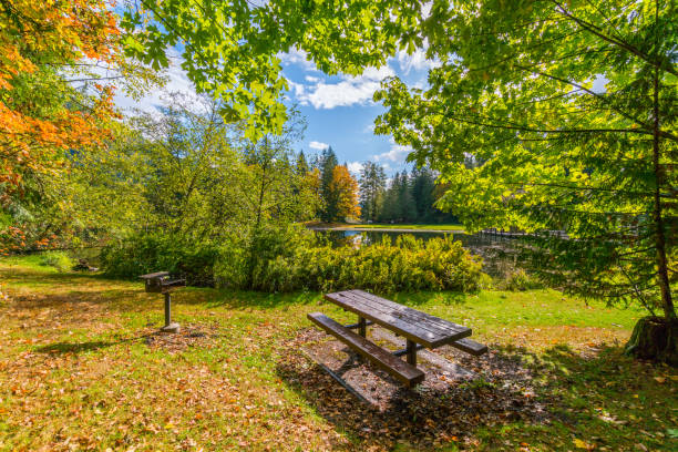 istock Great campsites with picnic tables and fire pits. FAll colors in Silver Lake Campground, Fall Time, North Cascades Region 1424943831
