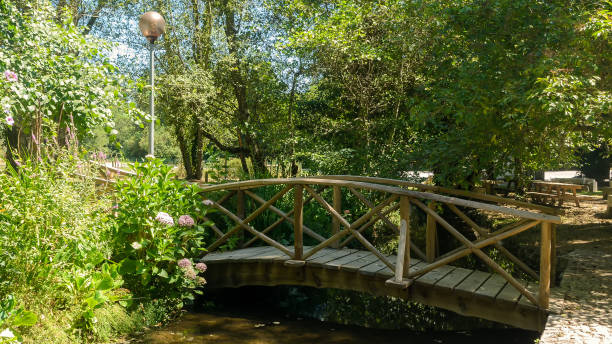 istock Pedestrian wooden bridge over the river 1424948797