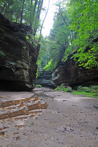 istock limestone canyon-Turkey Run, Indiana 1424950801