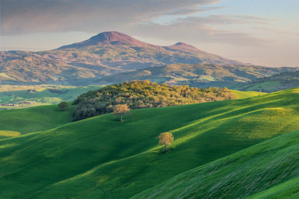 絵のように美しい緑の畑、黄色い花、アミアータ山を背景にしたヴァル ドルチャの田園地帯の風景、トスカーナ、イタリア - val tuscany cypress tree italy ストックフォトと画像