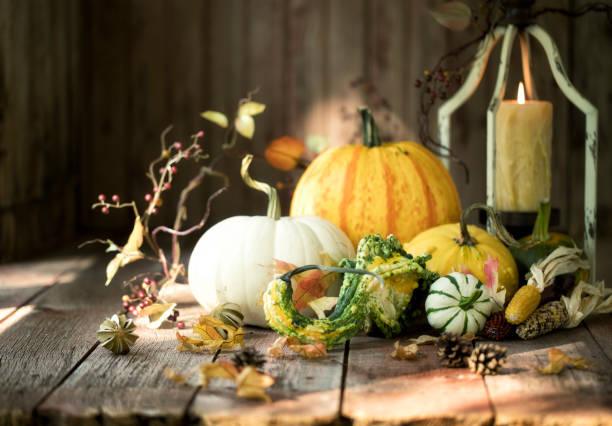 istock Autumn Pumpkins and Gourds 1424956033