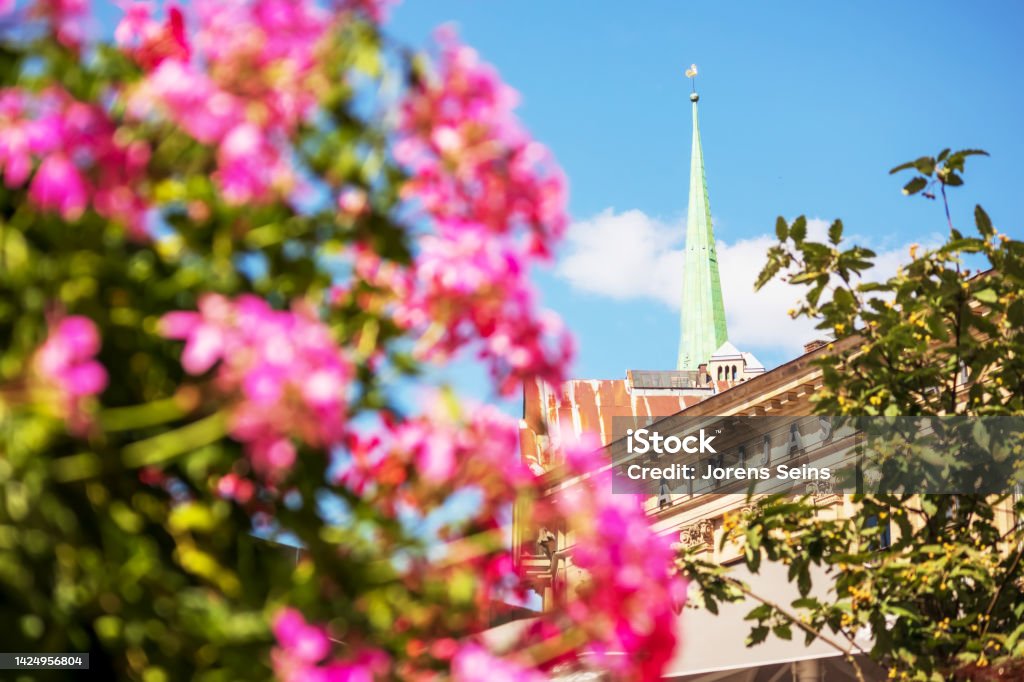 Church with pink flowers A church with a brown wall and a pointed green tip in the middle of the city center with blue sky and with pink flowers in front of it Architecture Stock Photo