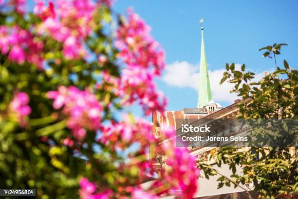 Church With Pink Flowers Stock Photo - Download Image Now - Architecture, Backgrounds, Bangkok