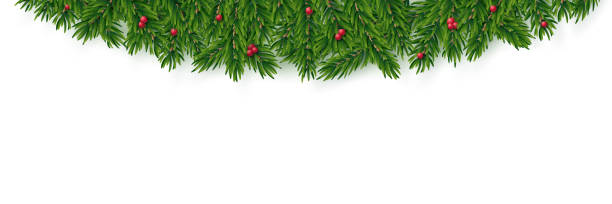 realistischer vektor-weihnachtsrand. tannenbaum und rote stechpalme beeren dekoration. - holly frame christmas picture frame stock-grafiken, -clipart, -cartoons und -symbole