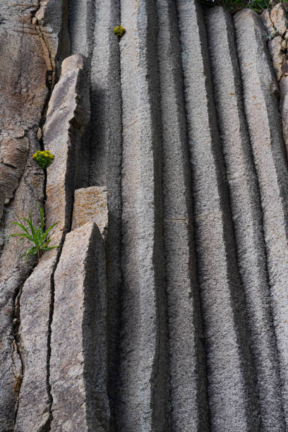 istock surface of a rock wall formed by columnar basalt 1424958552