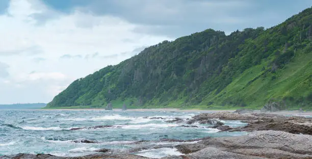coastal landscape, beautiful wooded rocks on the green coast of Kunashir island