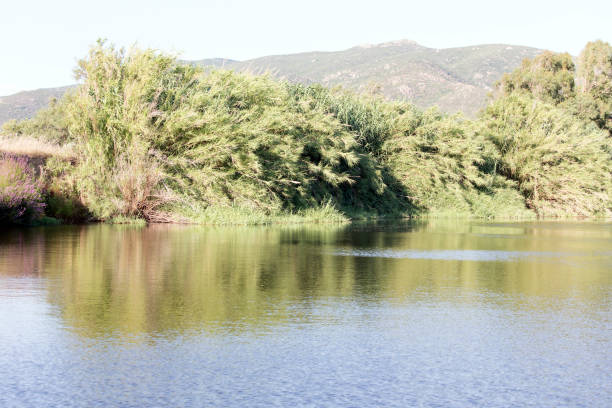 istock A view of Coghinas river in Sardinia 1424960990