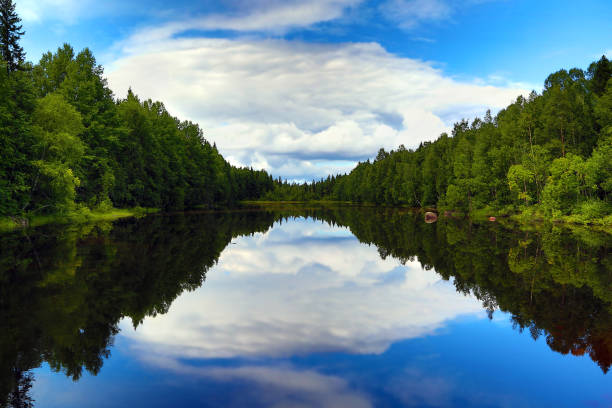 piękne jezioro w karelia - flowing water ripple day plant zdjęcia i obrazy z banku zdjęć