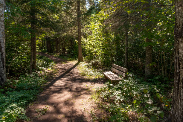 온타리오 주 ouimet canyon의 park bench 초대 - thunder bay canada ontario provincial park 뉴스 사진 이미지