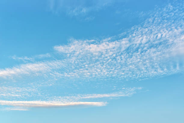 Light translucent cirrocumulus clouds high in the blue sky. High clouds of rarefied altitudes. Weather forecast and meteorology concept. Background of sunny summer cloudscape. Full frame. Light translucent cirrocumulus clouds high in the blue sky. High clouds of rarefied altitudes. Weather forecast and meteorology concept. Background of sunny summer cloudscape. Full frame. Copy space. stratosphere meteorology climate air stock pictures, royalty-free photos & images