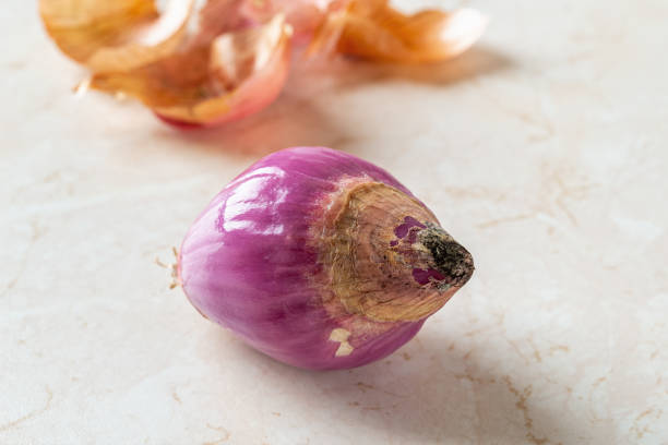 Rotting of whole red shallot bulb macro. Black mold fungus on peeled eschalot. Closeup of spring onion rots. Rotten vegetables detail. Biodegradable food waste. Spoiled food concept. stock photo