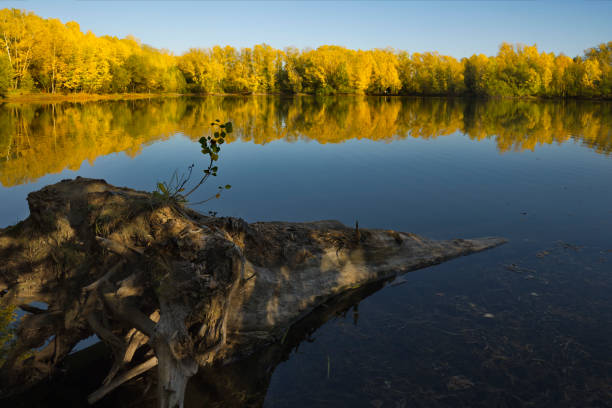 istock Autumn calm on a sunny day 1424972528