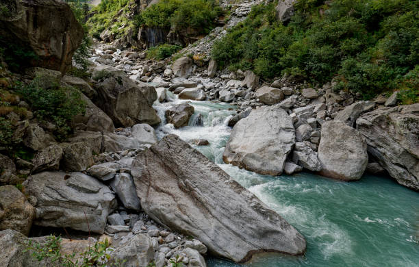 istock Creek or stream water flowing past rocks and stones 1424975479