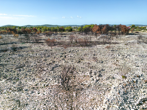 Aerial view of croatian bush and forest fire destruction with a burnt country side.