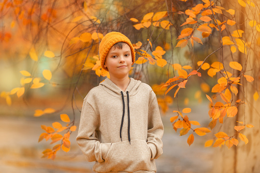 Boy in a hat is smiling in the autumn park. Bright colour background. Close up portrait of a cheerful kid.