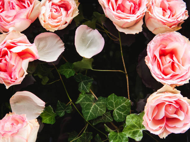 istock Flowers Floating In A Dark Water 1424978595