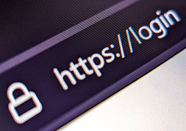 istock Closeup view of an internet web browser with secure URL displayed on a pixelated screen 1424982427