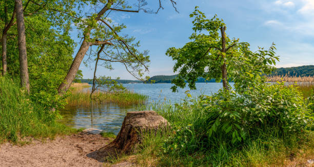 istock Werbellinsee Nature Paradise Diving Access 
