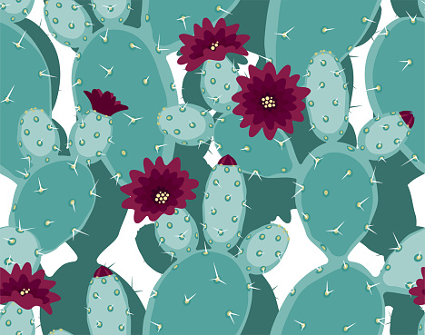 Prickly pear cactus or opuntia blue and purple seamless pattern.
