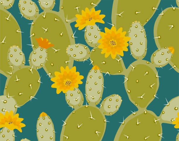 wzór kaktusu - prickly pear fruit illustrations stock illustrations