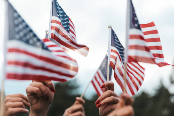 american flags raised for holiday celebrations - veteraan stockfoto's en -beelden