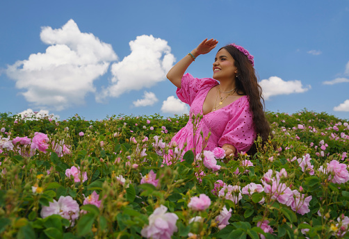 Young beautiful female florist picking up roses in the rose field in Isparta, Turkiye
