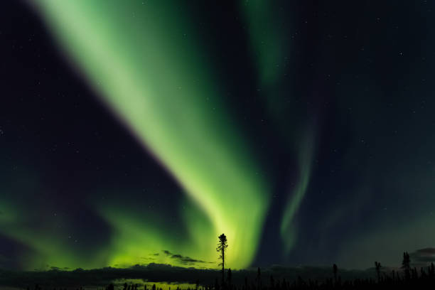 アラスカ、オーロラ、 - star shape sky star aurora borealis ストックフォトと画像