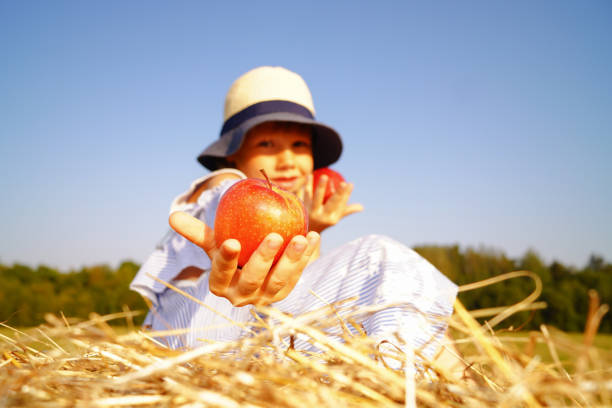 Hand of Caucasian mother give an apple to child (baby boy) in the sunny autumn (fall) day. Kid eating healthy food, snack. Healthy lifestyle, nutrition for caries prevention, teeth, dental health.