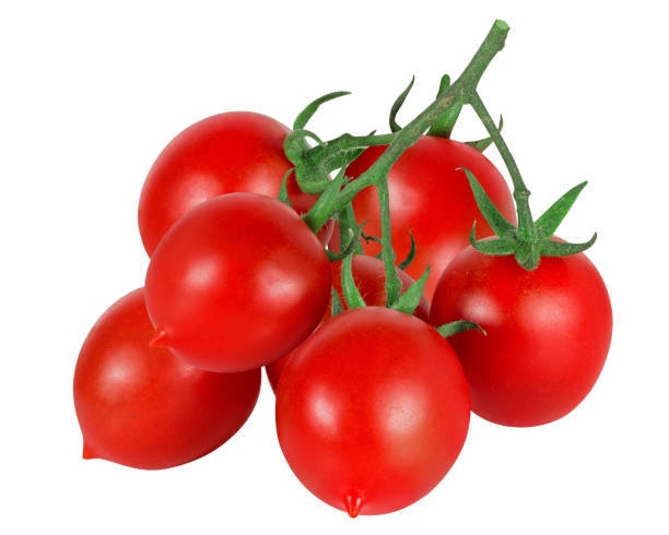 pomidory na gałęzi wyizolowane na białym tle - cherry tomato tomato sauce isolated close up zdjęcia i obrazy z banku zdjęć
