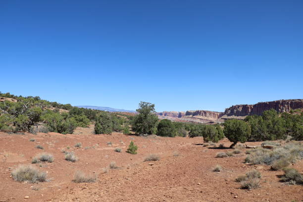 istock Capitol Reef national park Utah 1425005022