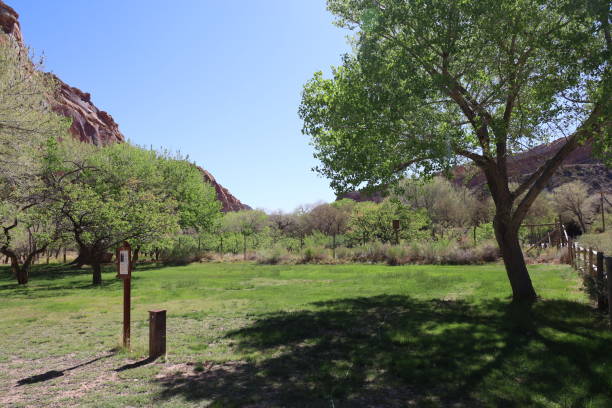 istock Capitol Reef national park Utah 1425005301