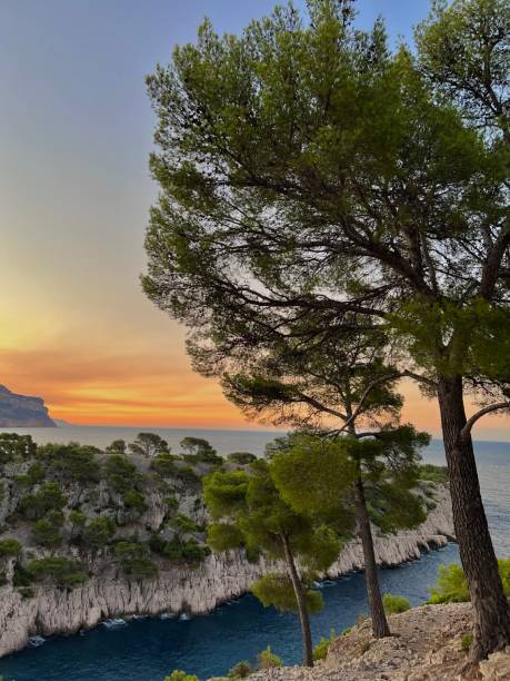 istock sunrise in front of the sea 1425007129