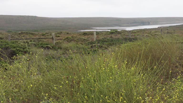 Point Reyes national seashore