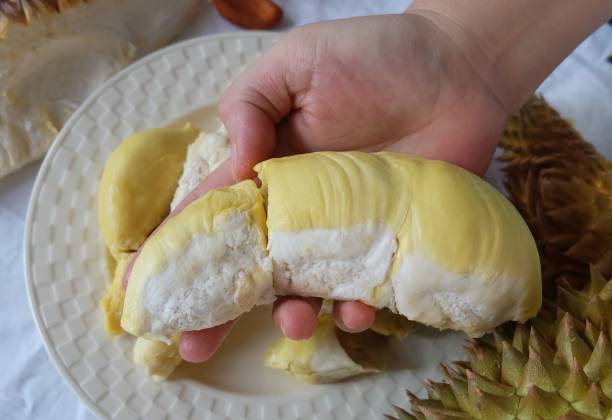 istock Hand Holding Fresh Ripe Durian 1425007543