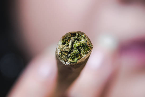 Macro close up of marijuana joint, selective focus. Macro close up of marijuana joint, selective focus. Concept of herbal and alternative medicine blunts stock pictures, royalty-free photos & images