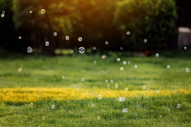 bright soap bubbles on summer natural green abstract background . many flying soap bubble in sunny day. spring or summer season. symbol of childhood, purity, ecology