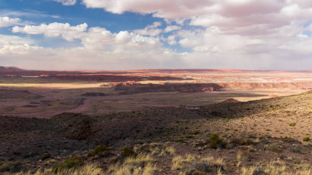 istock Petrified Forest National Park, Arizona 1425019563